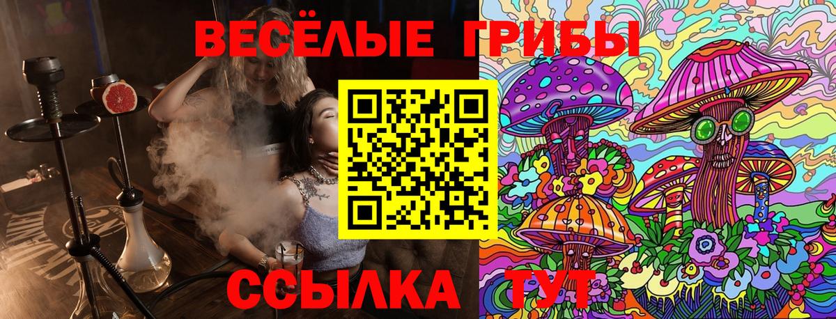 Бирск  Псилоцибиновые грибы прущие грибы  Вход с VPN  Псилоцибиновые грибы Magic Shrooms 